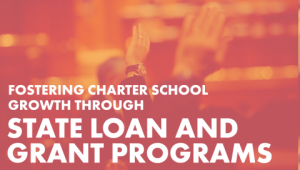 State Loan and Grant Programs report cover image